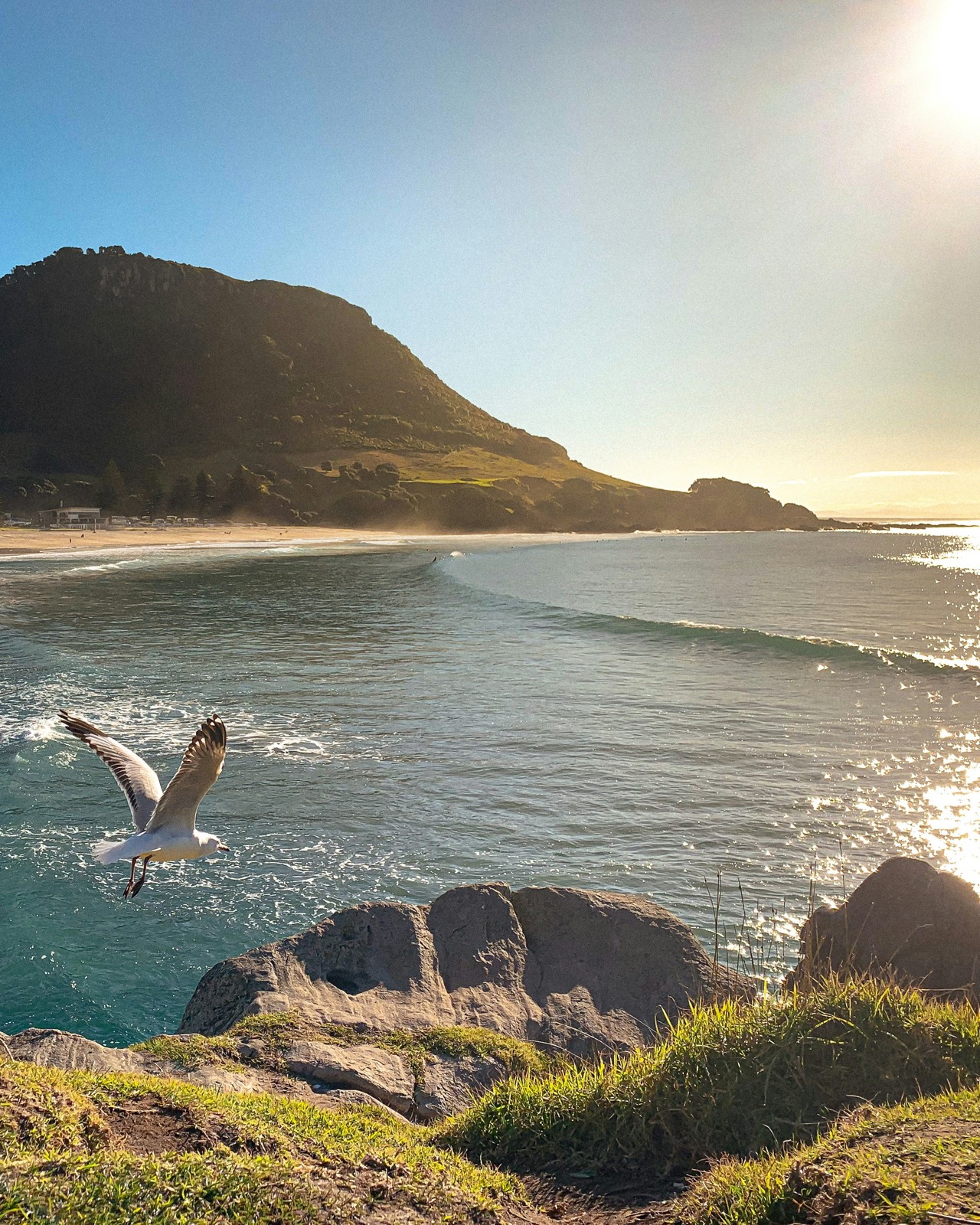 Mount Maunganui, Bay of Plenty